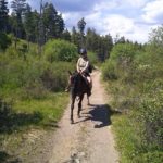 Travel Diaries: Horseback riding in Kelowna (Pegasus Riding School & Trail Rides)