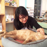 Cat + Cafe = A visit to the Catfe