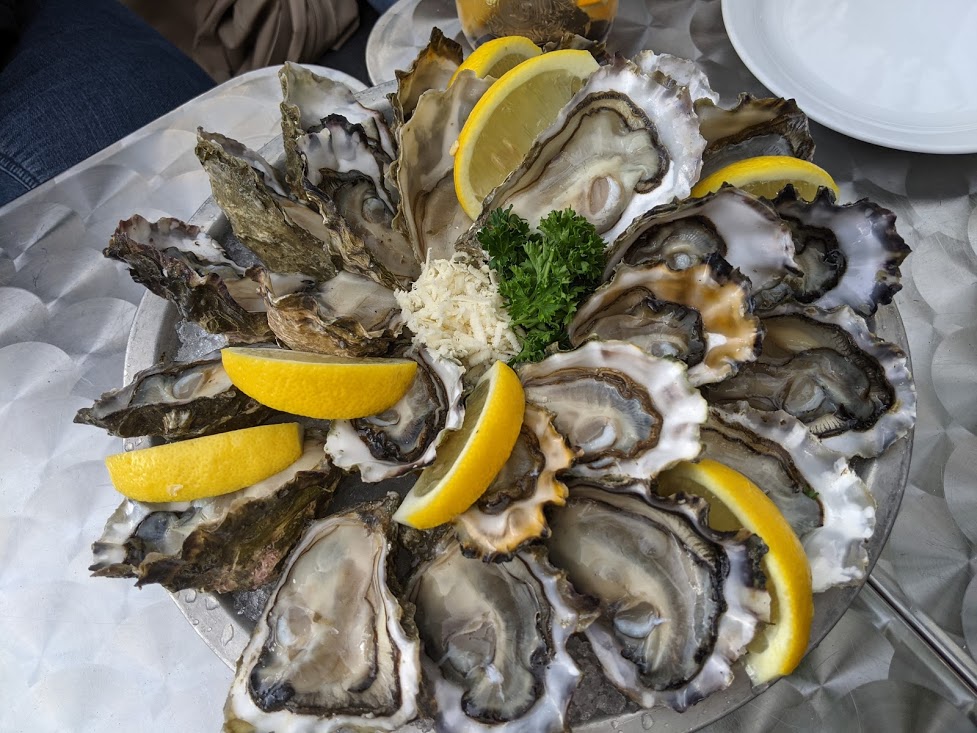 Harbour Oyster Bar - Curiously Carmen